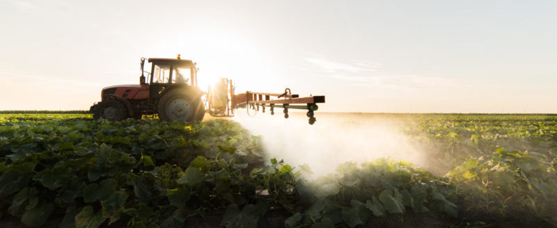 Farmer on a tractor with a sprayer makes fertilizer for young vegetables